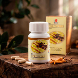 Cápsula Cordyceps DXN
