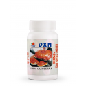 Ganoderma en Polvo RG