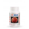 Polvo Reishi Mushroom de DXN